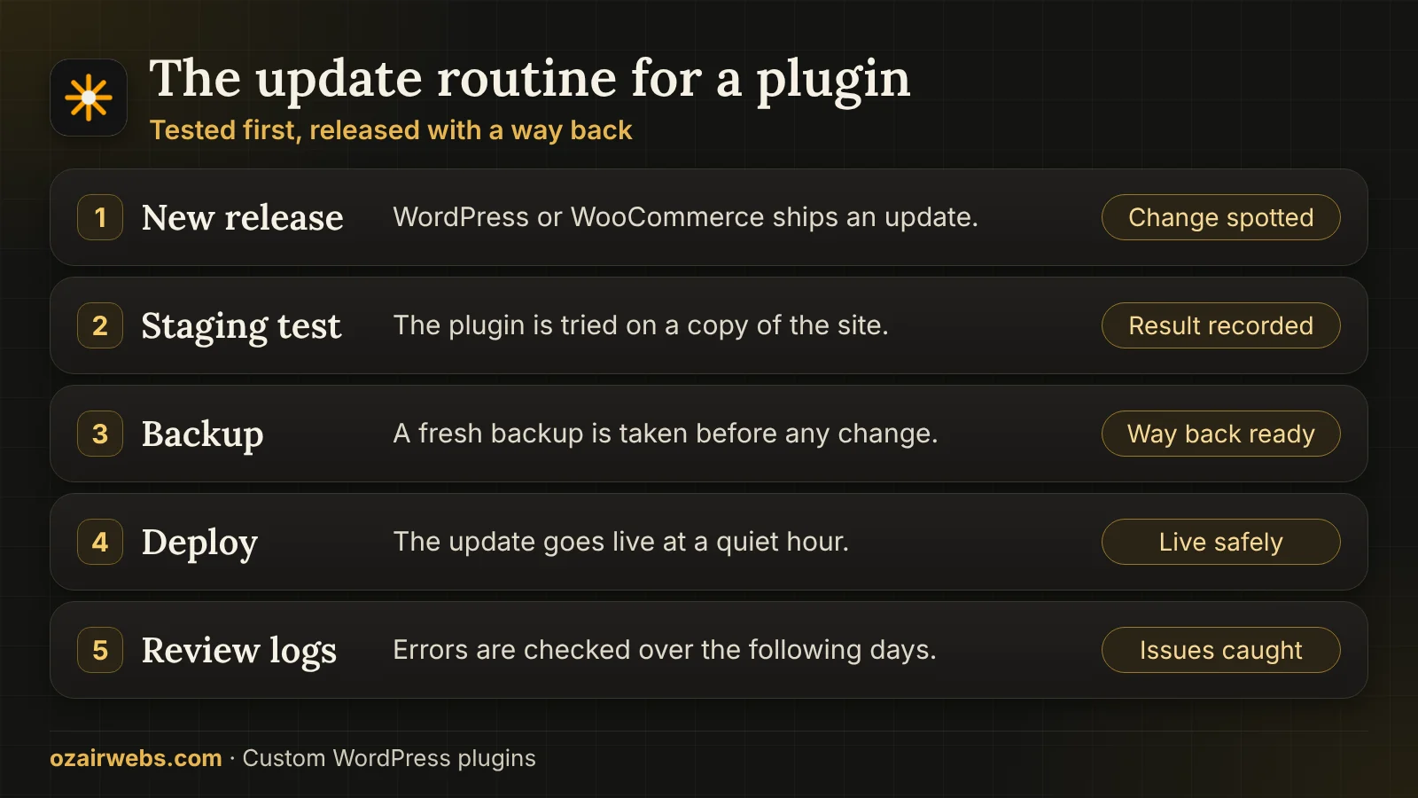Update routine for a custom WordPress plugin: new release, staging test, backup, deploy and log review