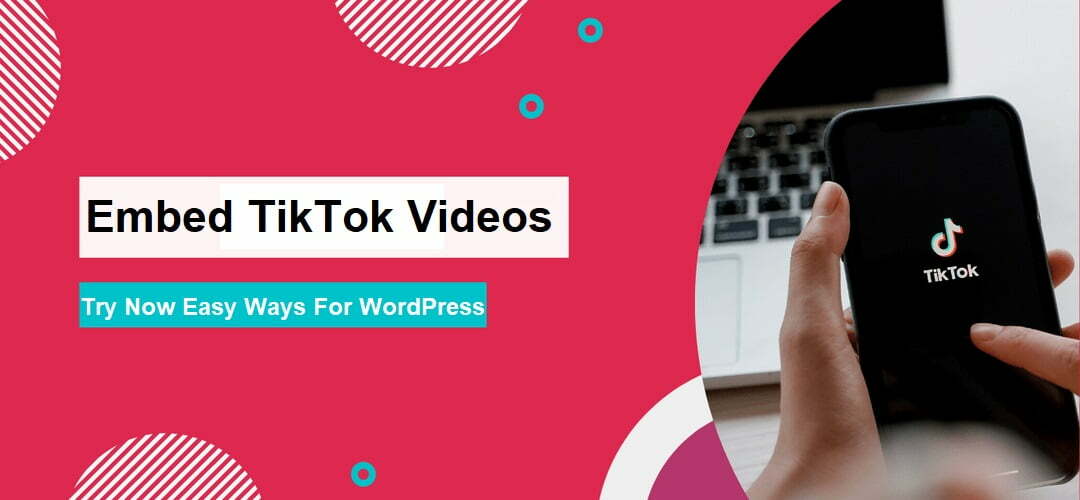 Embed TikTok Videos On WordPress